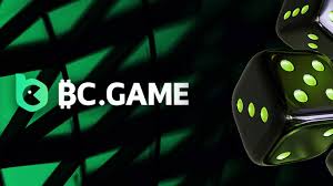 Understanding Withdrawals on BC.Game A Comprehensive Guide