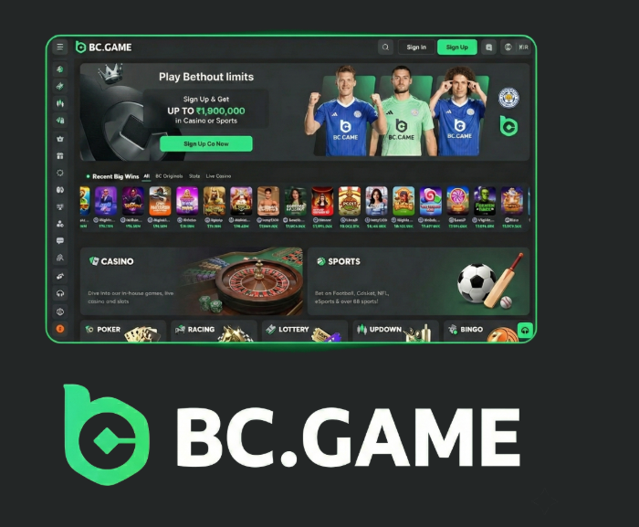 Understanding How BCStavka Casino Operates -267549604